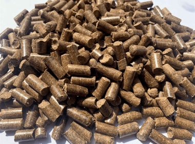 Bagasse pellets