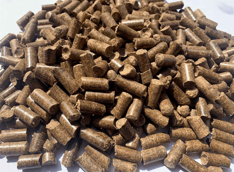 Bagasse pellets