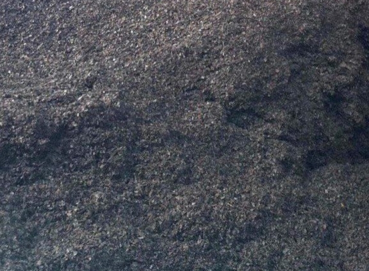 Teak Leaf Mold (Munch)
